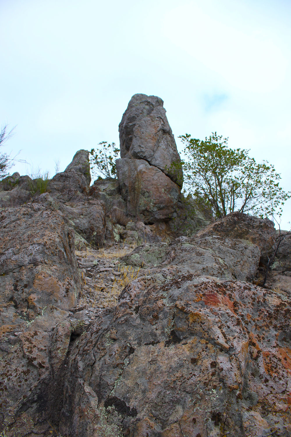 Craggy Rocks in the Vineyard