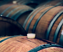 Ty Caton Wine Barrels