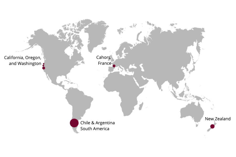 Map of where Malbec grows in the world