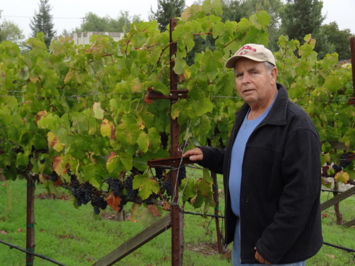 The Story Behind the Ty Caton Estate Carlton Brooke Petit Verdot: Honoring Ty’s Parents