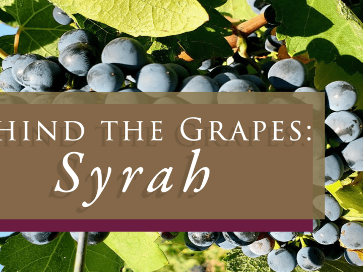 Behind the Grapes: Syrah
