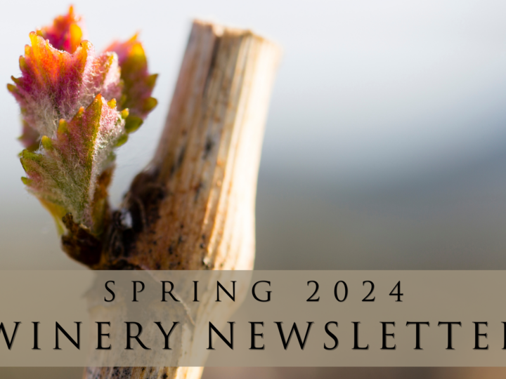 Spring 2024 Winery Newsletter